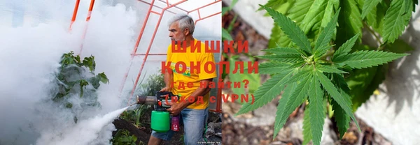 прущая мука Елизово