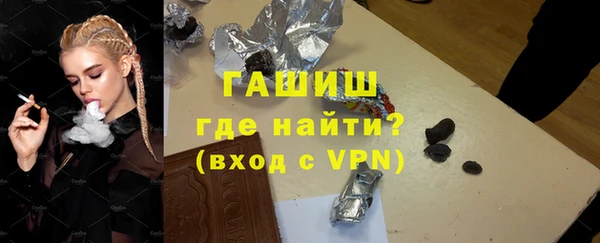 гидра Ельня