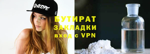 гидра Ельня
