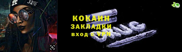 гидра Ельня