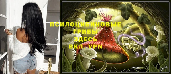 трава Заволжск
