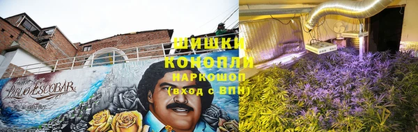 соль ск Заводоуковск