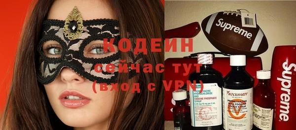 гидра Ельня