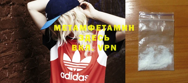 гидра Ельня