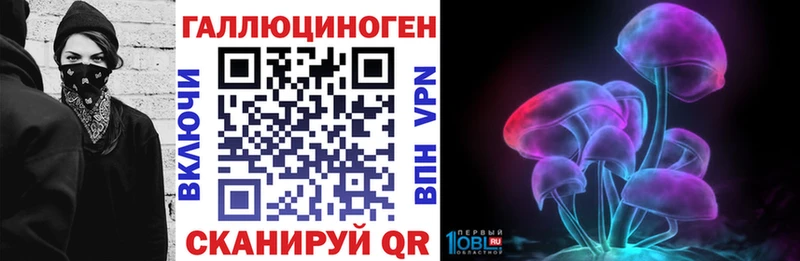 продажа наркотиков Зверево Галлюциногенные грибы Psilocybine cubensis